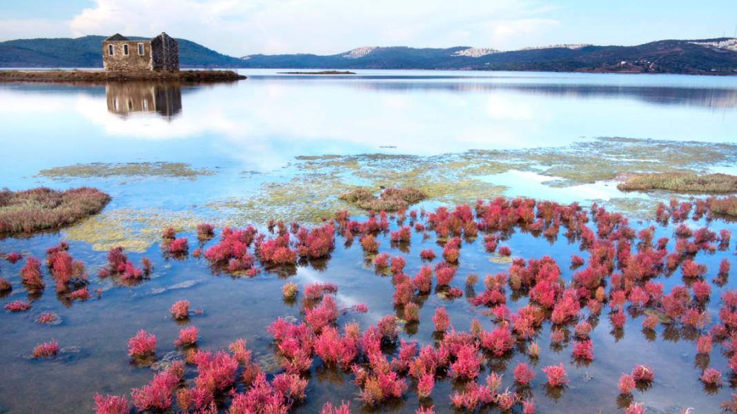 Kuraklıkta 'El Nino' etkisi: Akdeniz'den Karadeniz'e 'daha kurak' bir sürece giriliyor 5